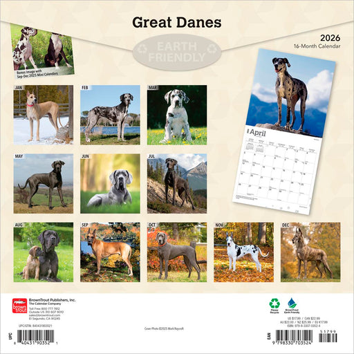 Great Danes 2026 Square Wall Calendar