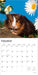 Guinea Pigs 2026 Square Wall Calendar