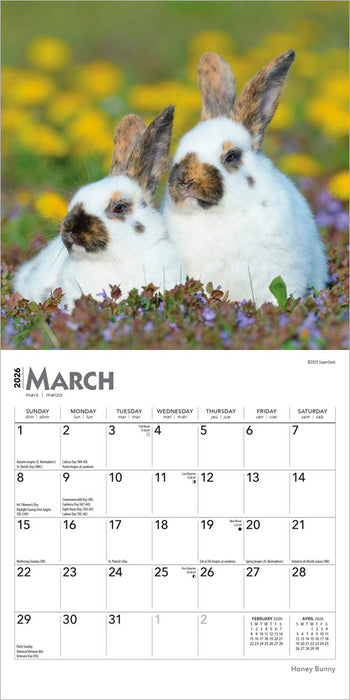 Honey Bunny 2026 Mini Wall Calendar
