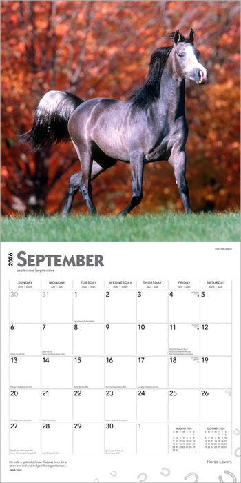 Horse Lovers 2026 Square Wall Calendar