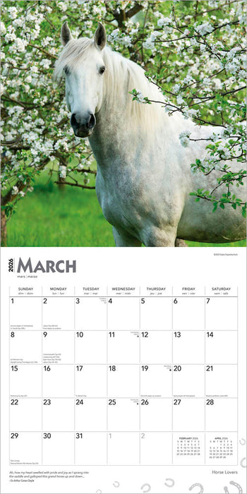 Horse Lovers 2026 Square Wall Calendar