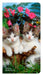 Kitten Cuddles 2026 Pocket Diary