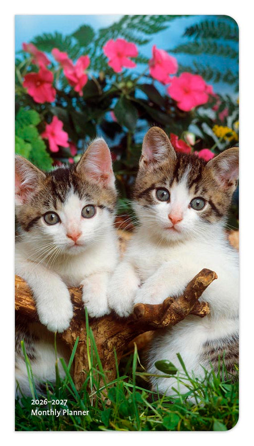 Kitten Cuddles 2026 Pocket Diary