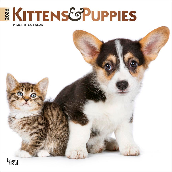 Kittens and Puppies 2026 Square Wall Calendar