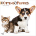 Kittens and Puppies 2026 Square Wall Calendar