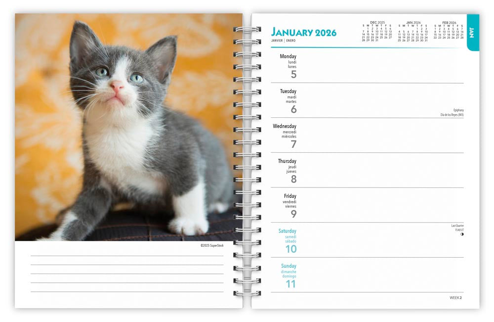 Kittens 2026 Weekly Diary (Online Exclusive)