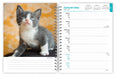 Kittens 2026 Weekly Diary (Online Exclusive)