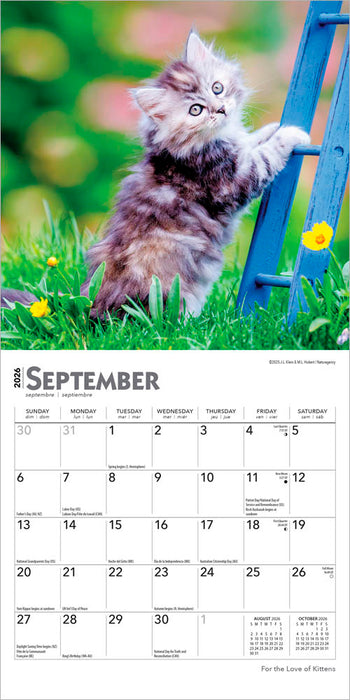 For the Love of Kittens 2026 Mini Wall Calendar