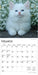 For the Love of Kittens 2026 Mini Wall Calendar