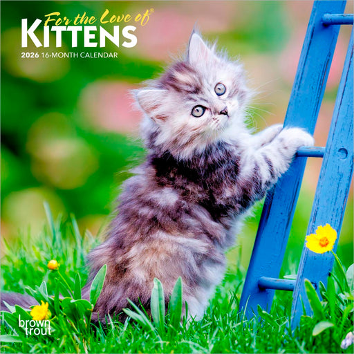 For the Love of Kittens 2026 Mini Wall Calendar