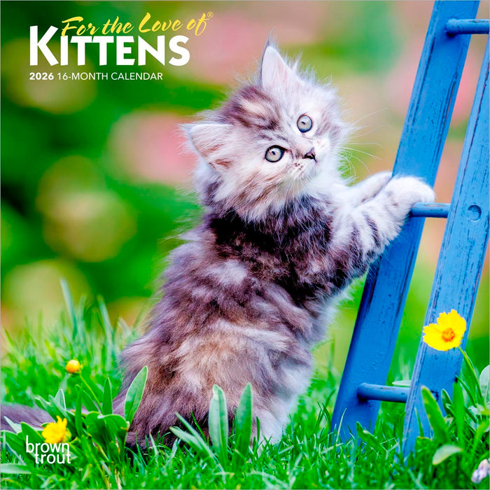 For the Love of Kittens 2026 Mini Wall Calendar