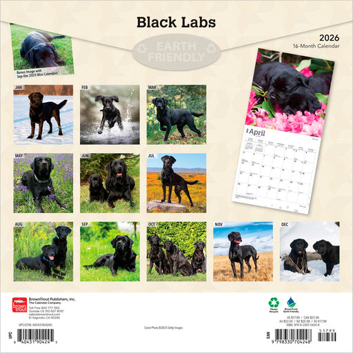 Black Labrador Retrievers 2026 Square Wall Calendar