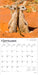 Meerkats 2026 Square Wall Calendar