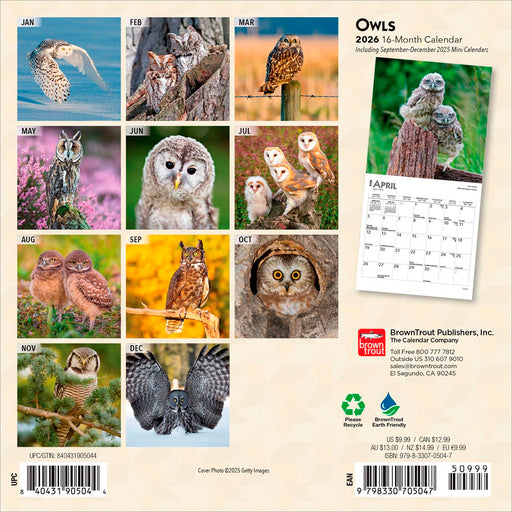 Owls 2026 Mini Wall Calendar