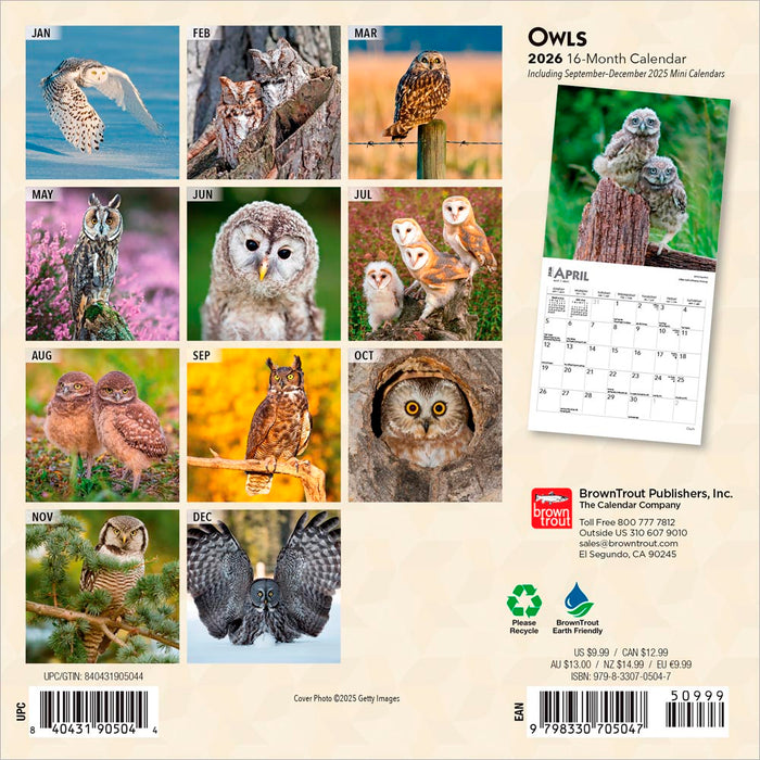 Owls 2026 Mini Wall Calendar