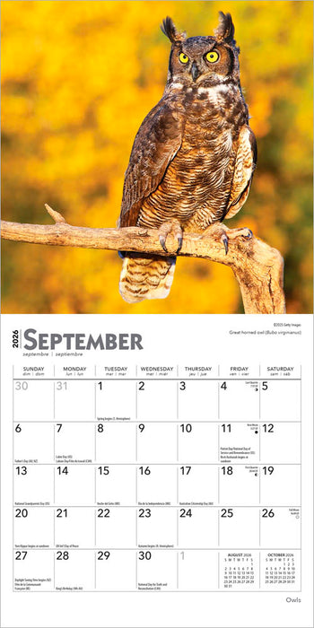 Owls 2026 Mini Wall Calendar