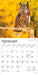 Owls 2026 Mini Wall Calendar