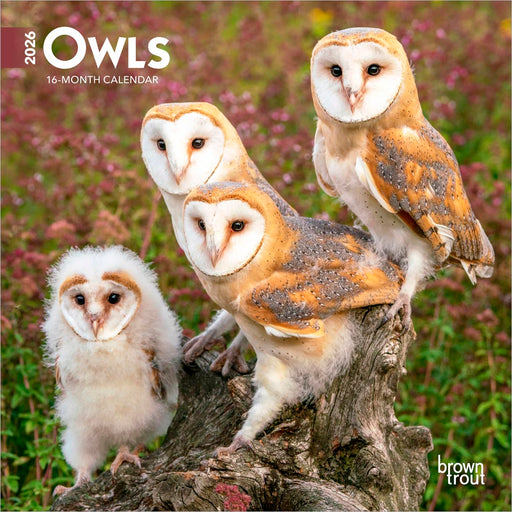 Owls 2026 Mini Wall Calendar