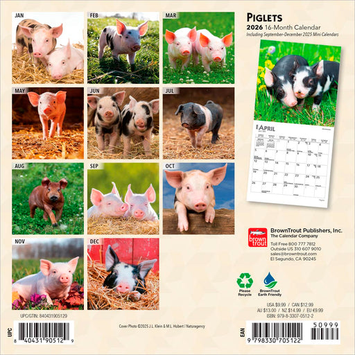 Piglets 2026 Mini Wall Calendar