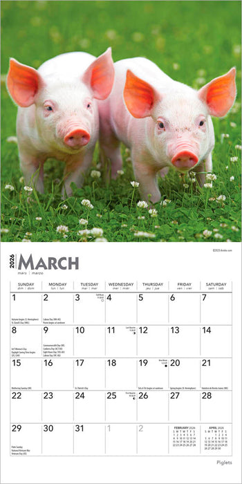 Piglets 2026 Mini Wall Calendar