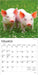 Piglets 2026 Mini Wall Calendar
