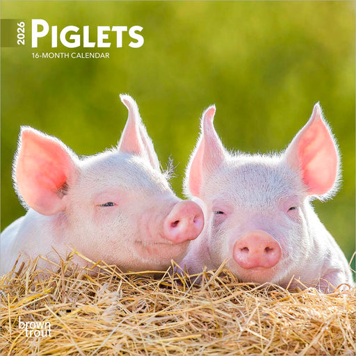 Piglets 2026 Mini Wall Calendar