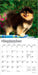Pomeranians 2026 Mini Wall Calendar
