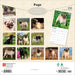 Pugs 2026 Square Wall Calendar