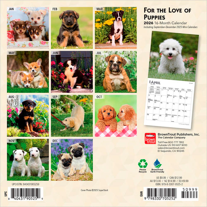For the Love of Puppies 2026 Mini Wall Calendar