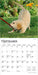 For the Love of Puppies 2026 Mini Wall Calendar
