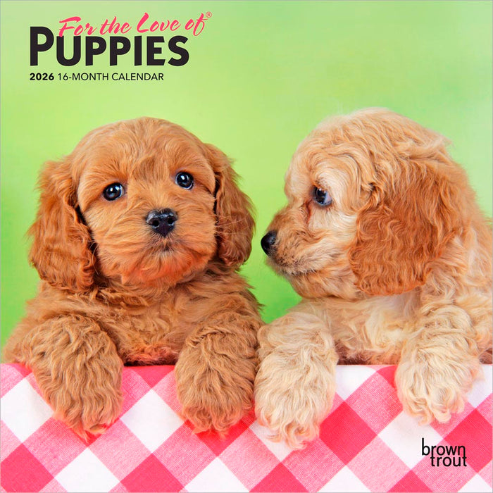 For the Love of Puppies 2026 Mini Wall Calendar