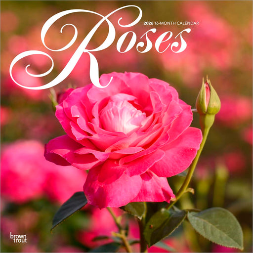 Roses 2026 Square Wall Calendar