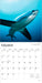 Sharks 2026 Square Wall Calendar