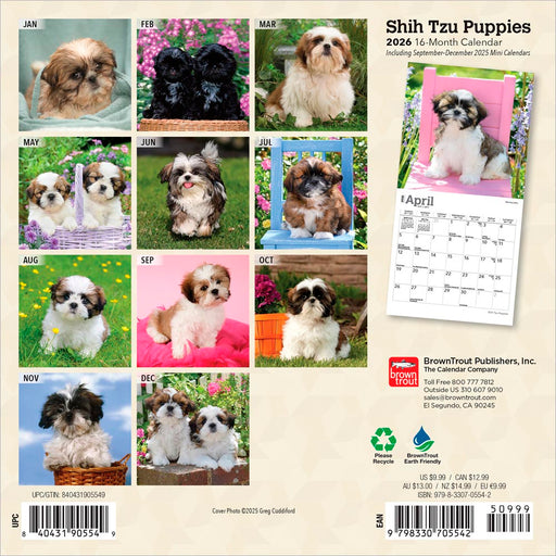 Shih Tzu Puppies 2026 Mini Wall Calendar