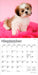 Shih Tzu Puppies 2026 Mini Wall Calendar