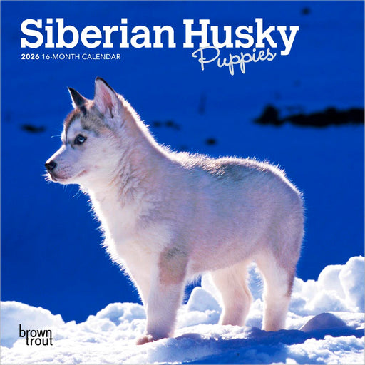 Siberian Husky Puppies 2026 Mini Wall Calendar