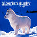 Siberian Husky Puppies 2026 Mini Wall Calendar