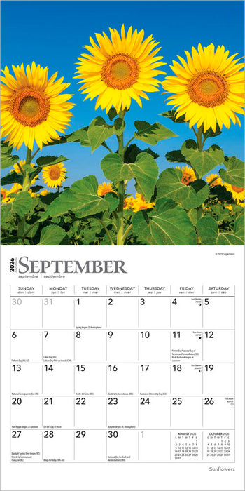 Sunflowers 2026 Mini Wall Calendar