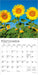Sunflowers 2026 Mini Wall Calendar