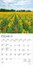Sunflowers 2026 Mini Wall Calendar