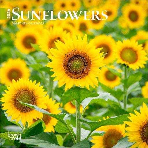 Sunflowers 2026 Mini Wall Calendar