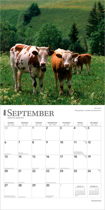 Switzerland 2026 Square Wall Calendar