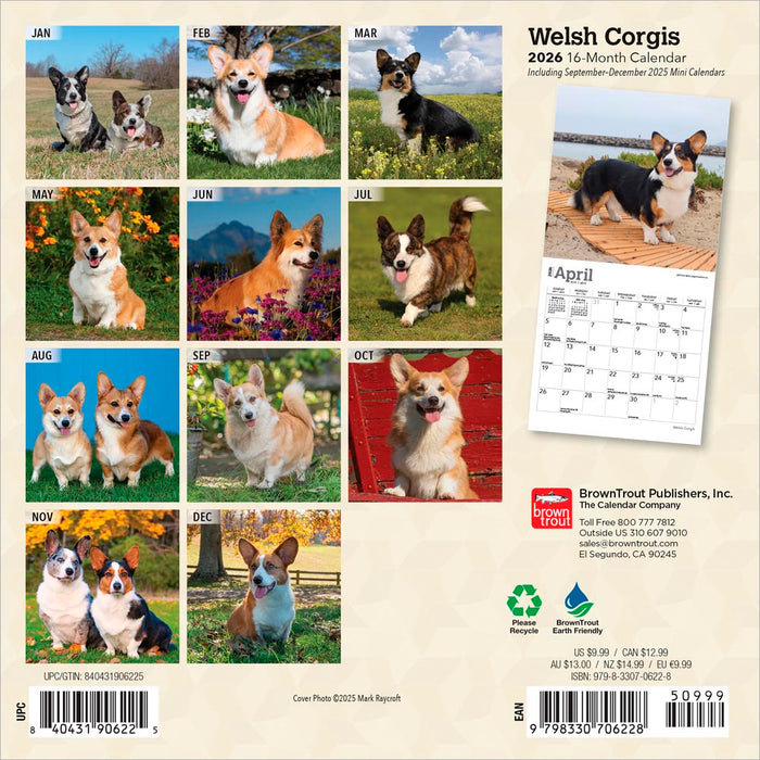 Welsh Corgis 2026 Mini Wall Calendar