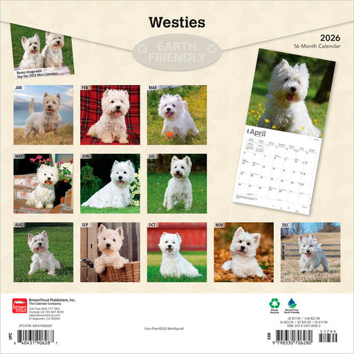 West Highland White Terriers 2026 Square Wall Calendar