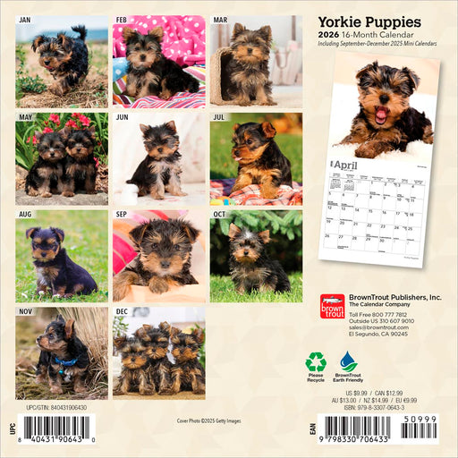 Yorkshire Terrier Puppies 2026 Mini Wall Calendar