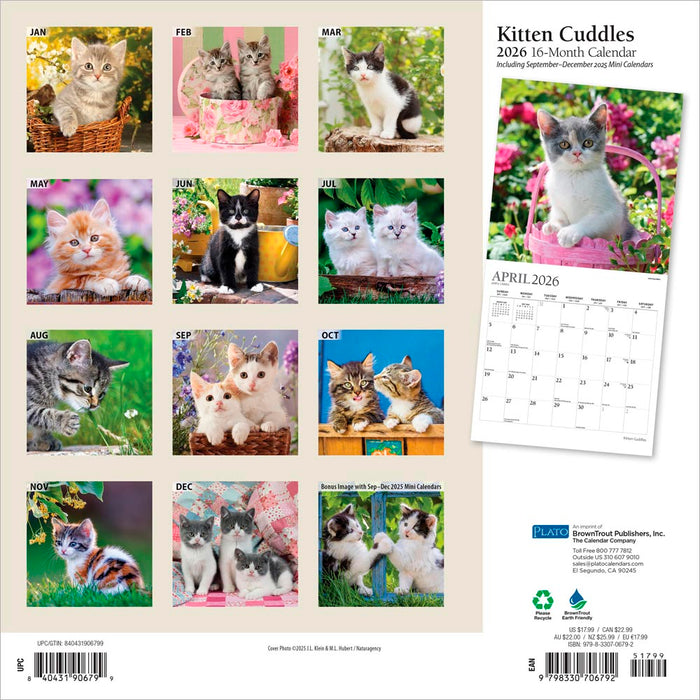 Kitten Cuddles 2026 Square Wall Calendar