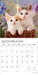 Kitten Cuddles 2026 Square Wall Calendar