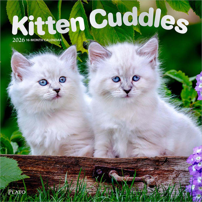 Kitten Cuddles 2026 Square Wall Calendar