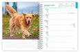Golden Retrievers 2027 Weekly Diary