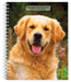 Golden Retrievers 2027 Weekly Diary